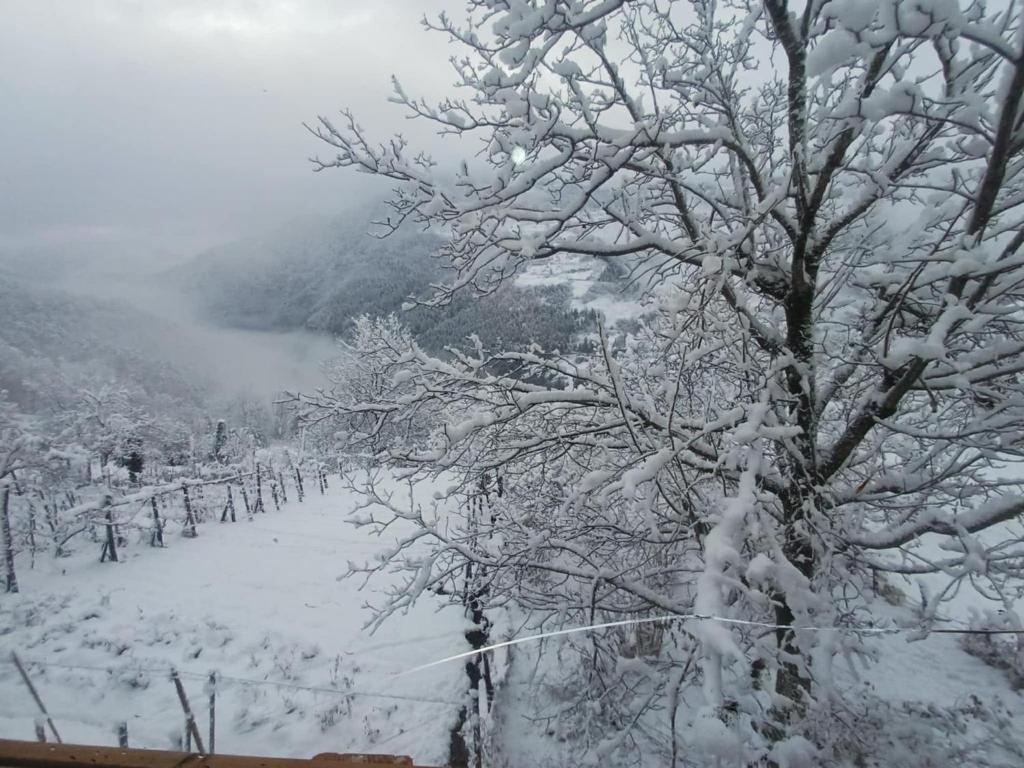 MOSES HOUSE-მოსეს სახლი durante l'inverno