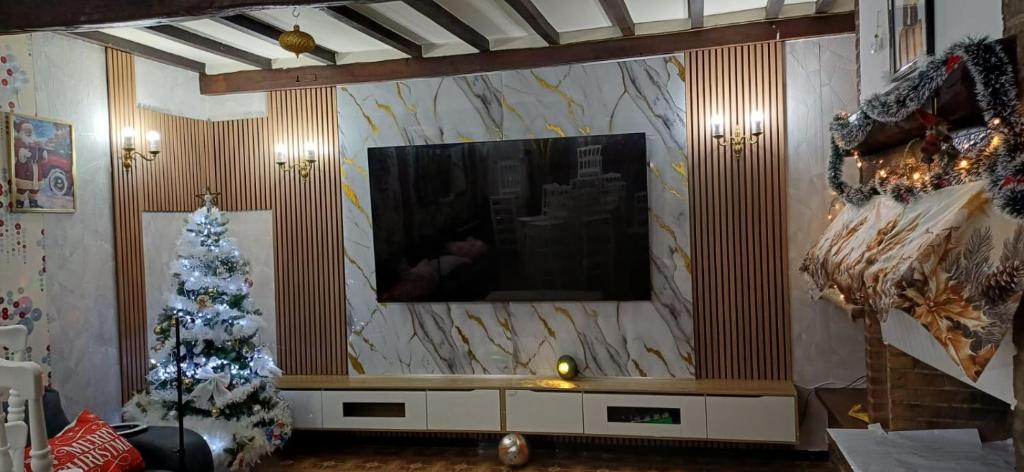 a living room with a christmas tree and a television at Belle CHAMBRE in Seraing