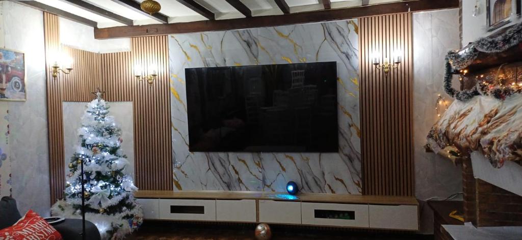een woonkamer met een kerstboom en een televisie bij Belle CHAMBRE in Seraing