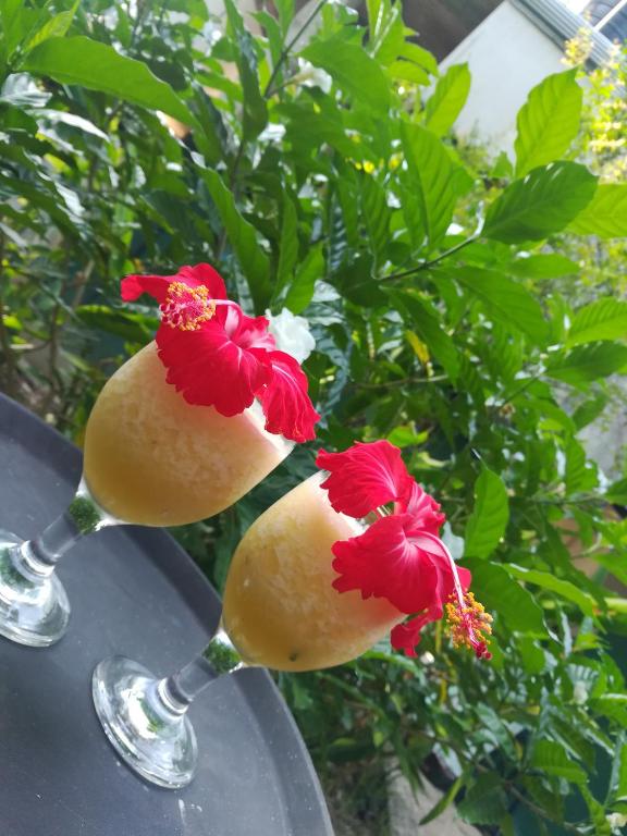 two wine glasses with two red flowers on them at Calm Villa Ahangama in Ahangama