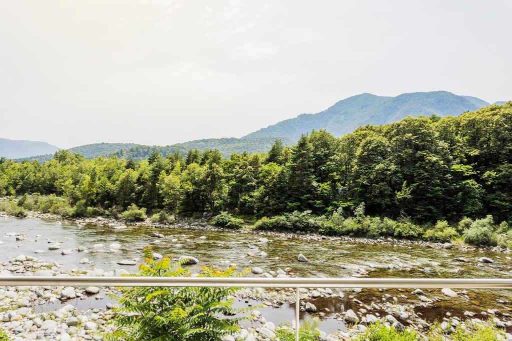 a view of a river with mountains in the background at Casa Magging un oasi nel verde in Locarno