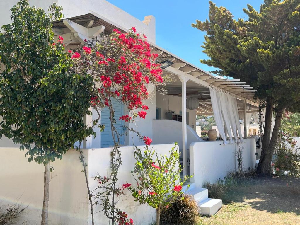 een wit huis met rode bloemen aan de zijkant bij Villa Campos Yalos beach in Ios Chora