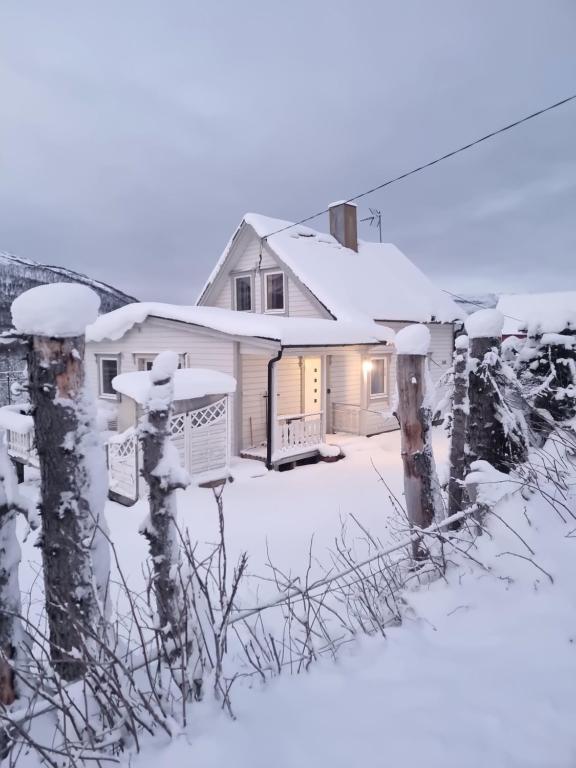 een huis bedekt met sneeuw met bomen ervoor bij Room in Cozy Cottage 