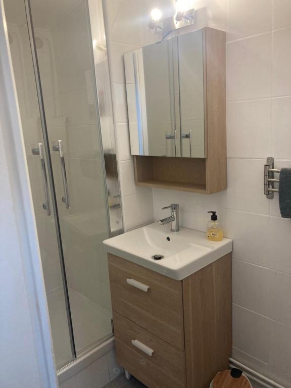 een badkamer met een wastafel en een douche bij Studio hyper centre de Beauvais in Beauvais