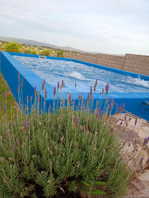 a blue pool with purple flowers next to a plant at Brisas de las Sierras in Tanti
