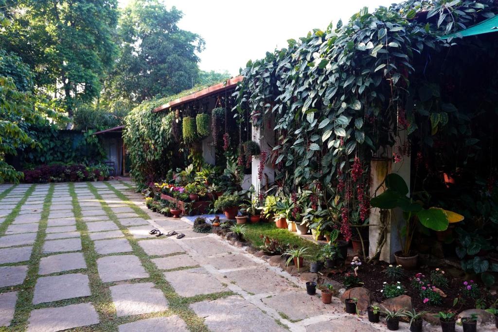 En have udenfor Edgestay