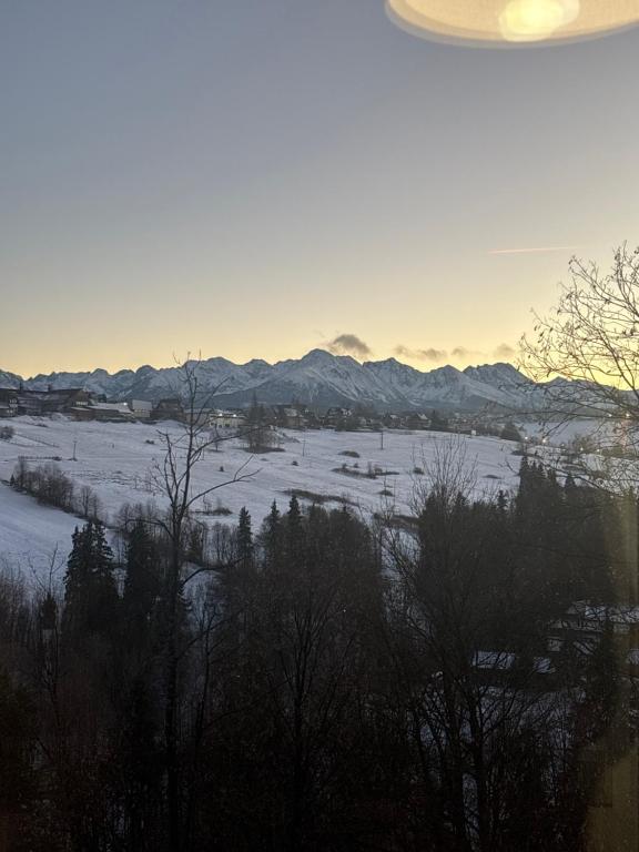 uitzicht op een sneeuwveld met bergen op de achtergrond bij Rusiński Raj - Domki in Bukowina Tatrzańska