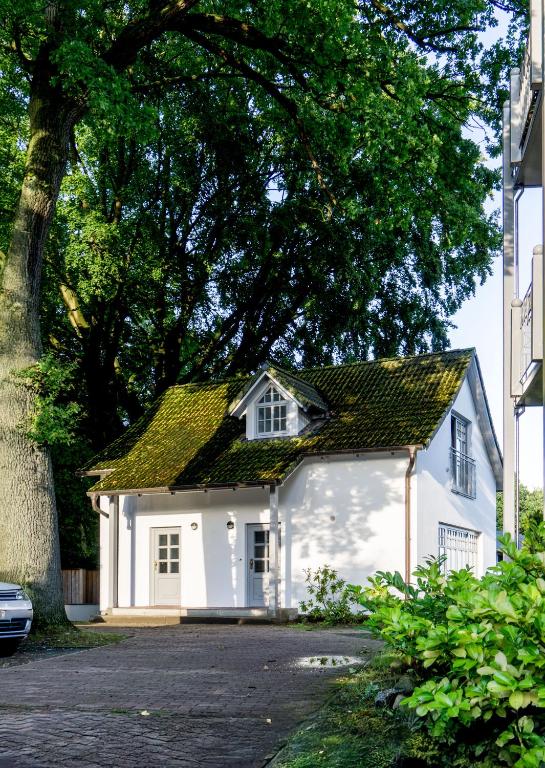 Ferienhaus Specht in Zinnowitz, Usedom