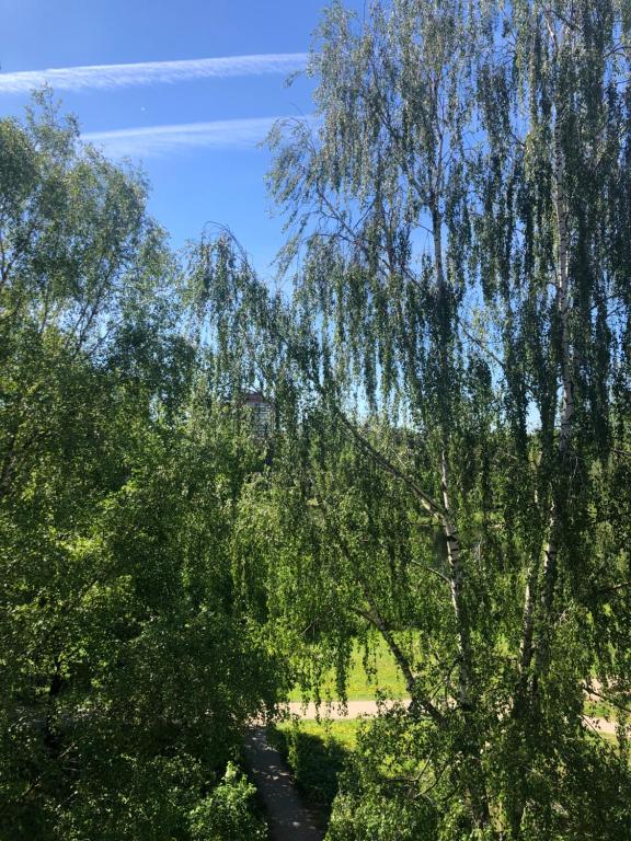 Phong cảnh thiên nhiên gần căn hộ