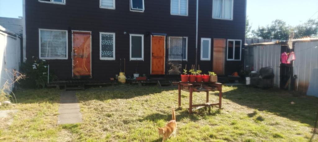 a cat standing in front of a black house at Pequeño Depa 2 personas in Puerto Montt