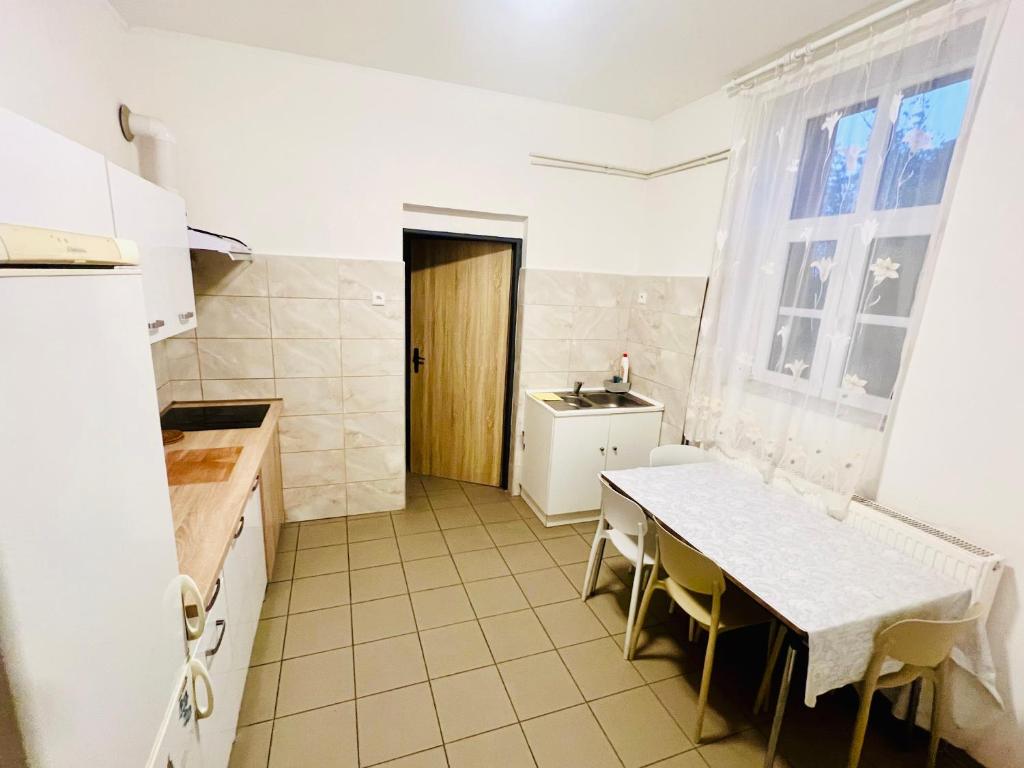 Kuchyň nebo kuchyňský kout v ubytování Big apartment in Brandýs nad Labem