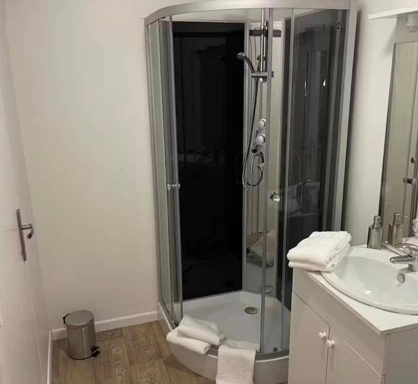 ein Badezimmer mit Dusche und Waschbecken in der Unterkunft Chambre d hôtes prêt du parc du pal in Chevagnes