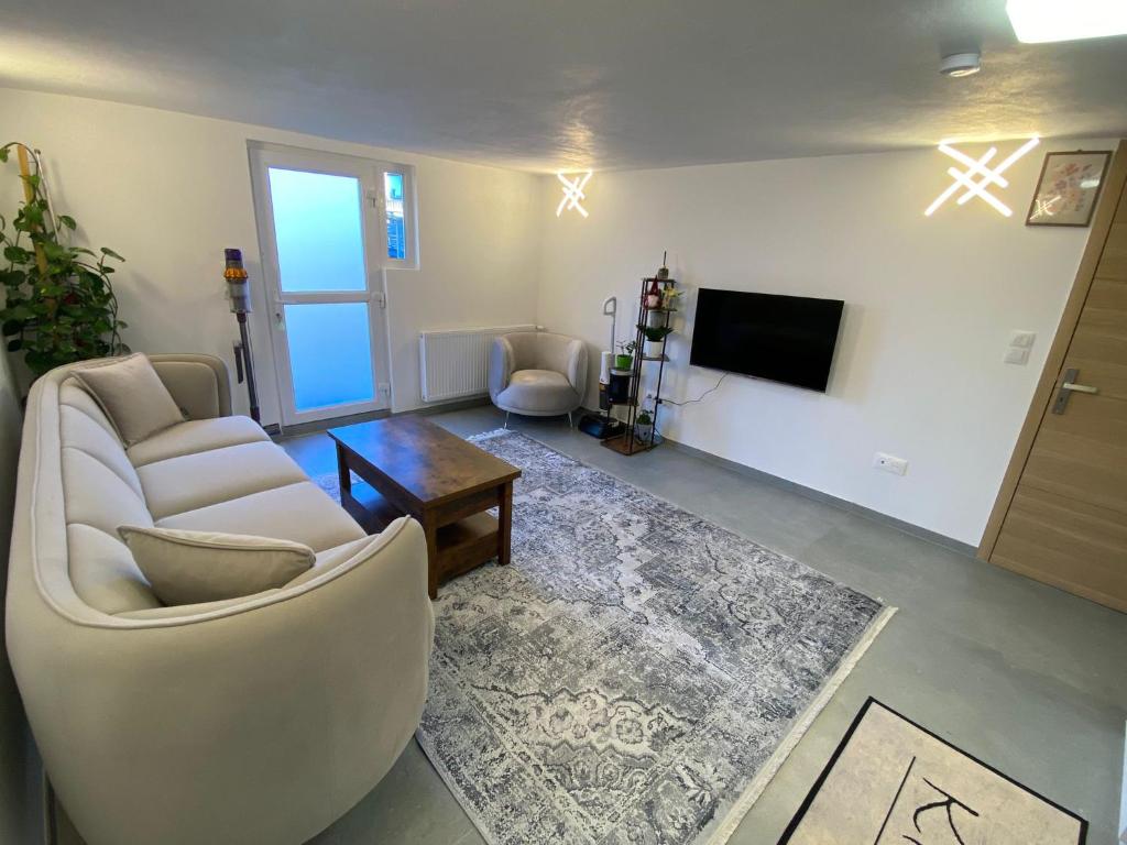 a living room with two chairs and a tv at Cozy ground floor apartment in Xonrupt-Longemer