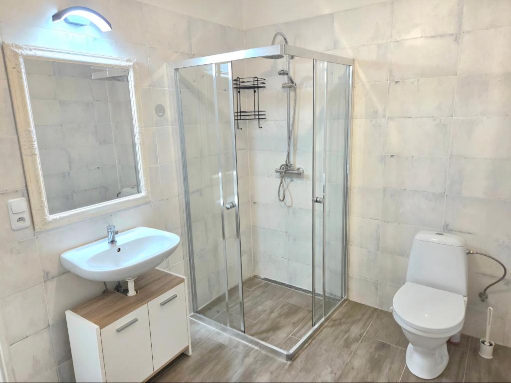 a bathroom with a shower and a toilet and a sink at White Haven in Chřibská