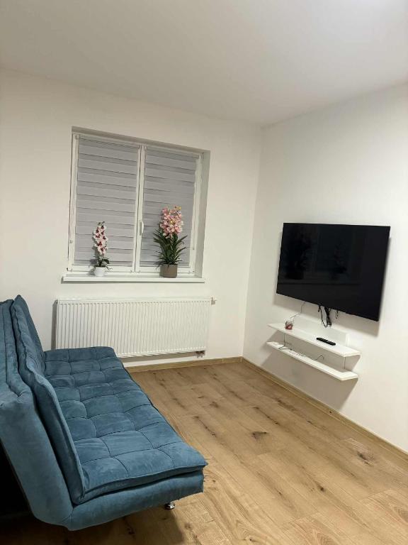 Et tv og/eller underholdning på Apartmány u Honzíka