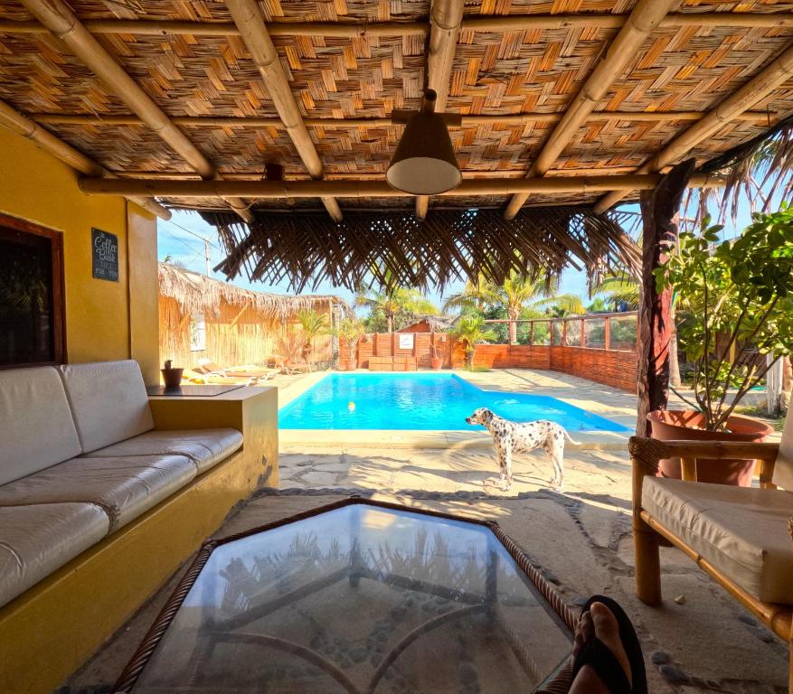 un cane in piedi di fronte alla piscina di Habitaciones en Vichayito a Vichayito