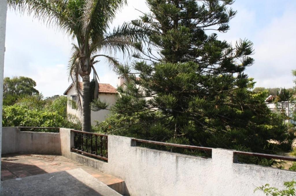 Billede fra billedgalleriet på Midgård i La Paloma