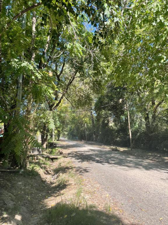 Container La Rosalia