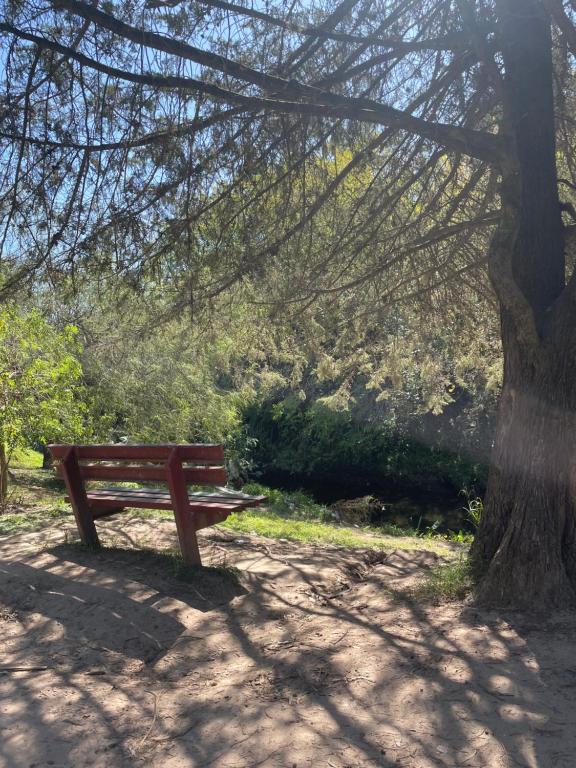 Container La Rosalia