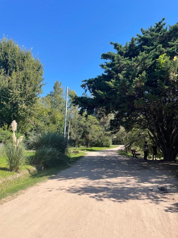 Container La Rosalia