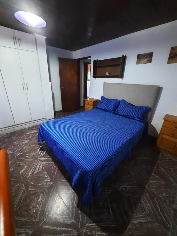 una camera da letto con un letto blu con cuscini blu di Casa cómoda y familiar a Necochea