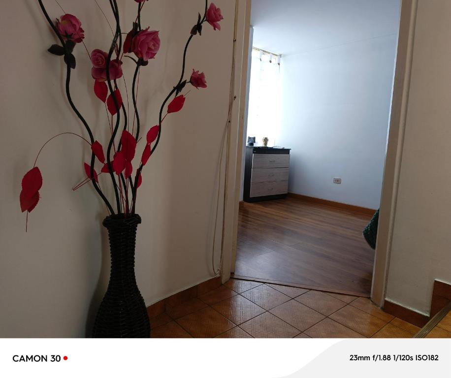 ภาพในคลังภาพของ Casa Manda ในโซกาโมโซ