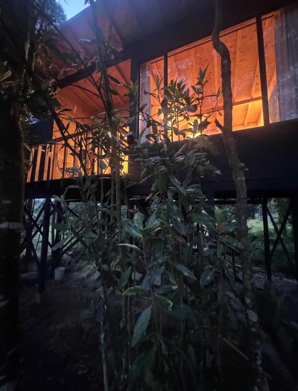 a house with a plant in front of it at Boheme Cabin in Medellín