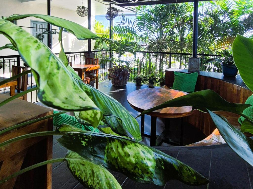 een terras met tafels en planten in een restaurant bij Green Turtle Backpackers Guesthouse, Puerto Princesa in Puerto Princesa City