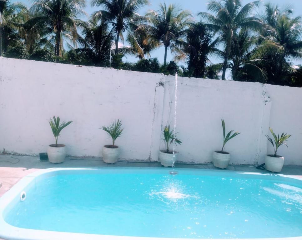 a blue swimming pool with palm trees in the background at Casa de Temporada 5 Estrelas in Olímpia