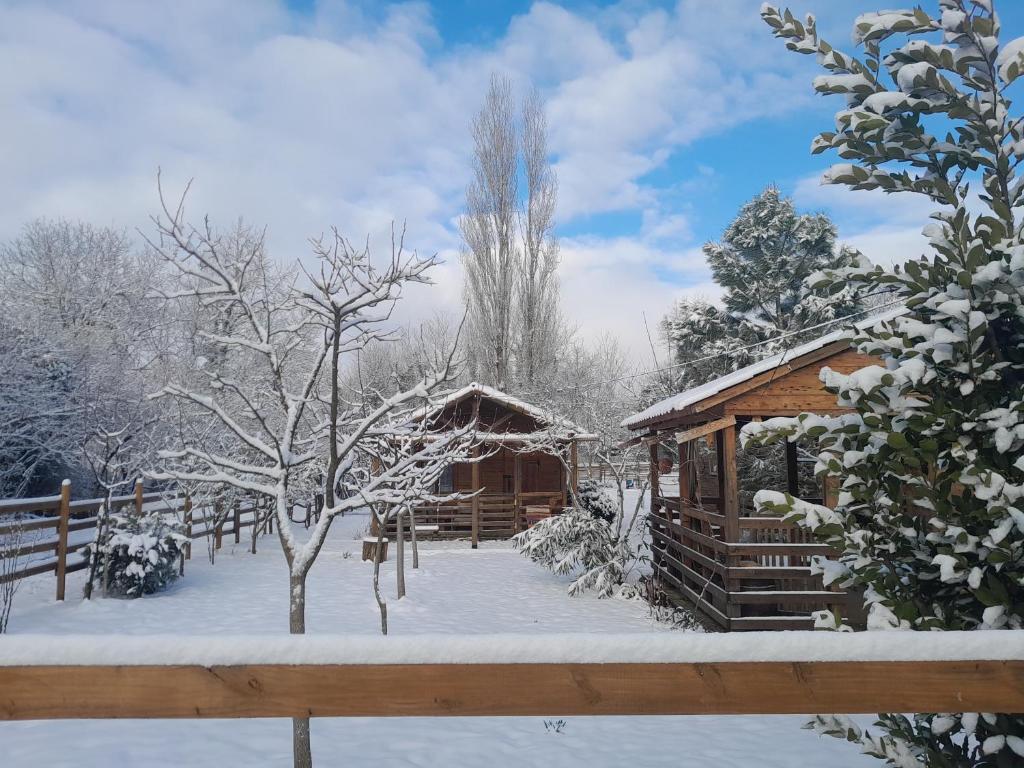 Tiny houses Genacvale semasa musim sejuk