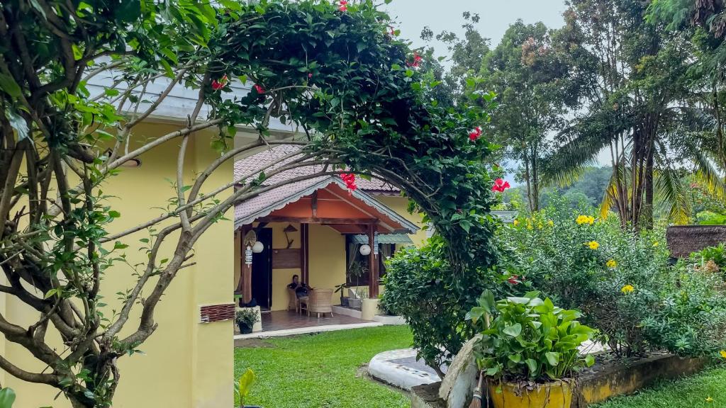 a house with an archway in a yard at Sumatra Cheeky Monkeys in Bukit Lawang