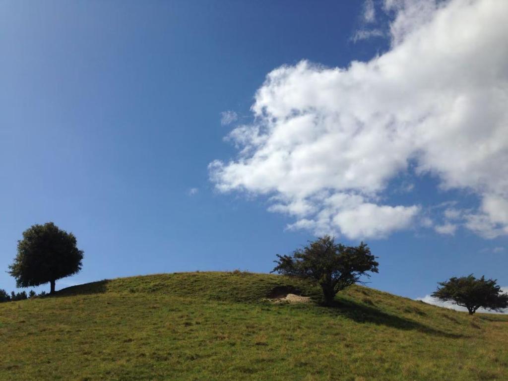 Příroda nedaleko apartmánu