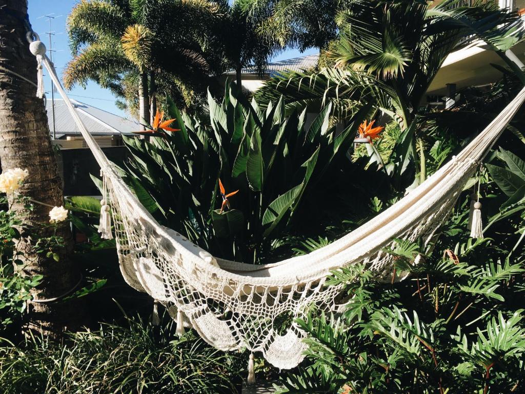 a hammock in a garden with palm trees at Childers Oasis Motel in Childers