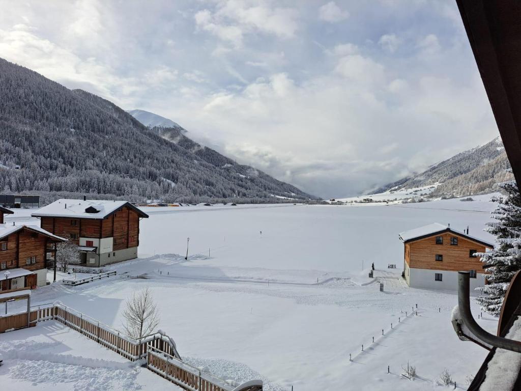 Příroda nedaleko apartmánu