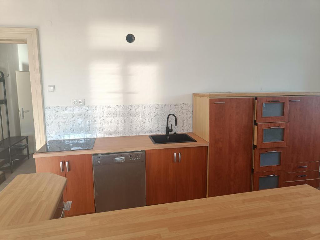 a kitchen with a sink and a dishwasher at prumyslova in Prostějov