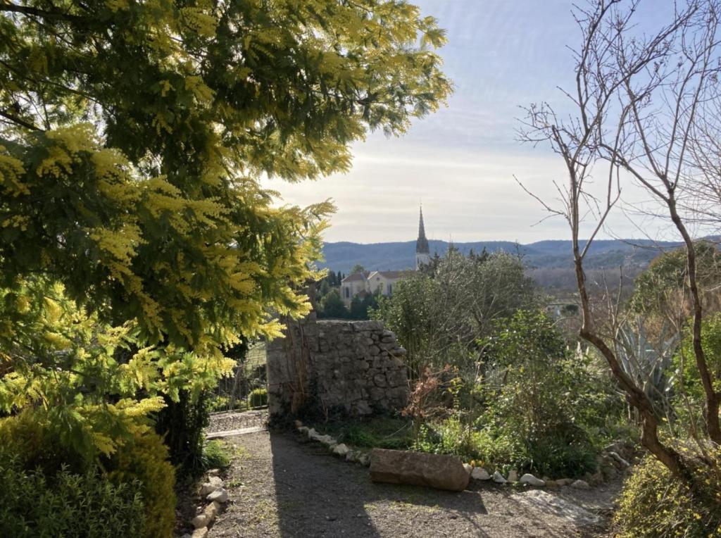 Naturlandskabet i nærheden af lejligheden