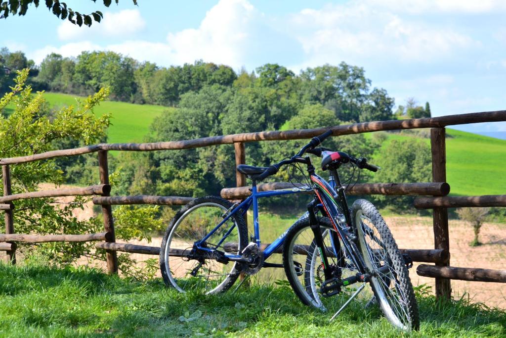 Jízda na kole v ubytování Agriturismo B&B La Cerasa nebo okolí
