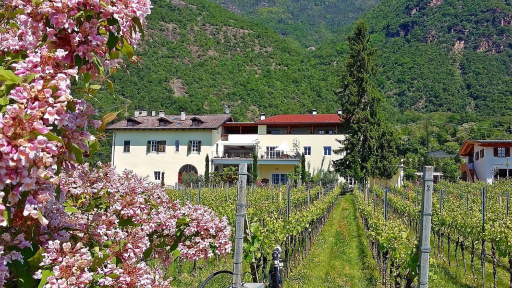 博爾扎諾的住宿－Brandlgut，葡萄园内一座房子,前面有粉红色的花朵