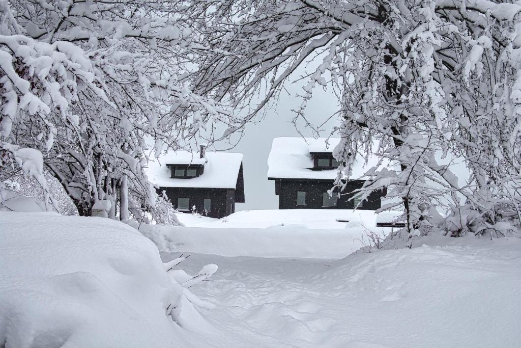 une cour enneigée avec des arbres et une maison dans l'établissement Anielskie Wzgórze Domek z Widokiem & Kuźnia Skarbów, à Mokre
