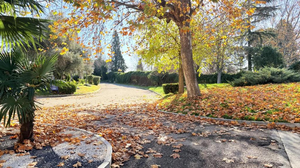 a driveway with autumn leaves on the ground at Gran Hotel Los Angeles in Getafe