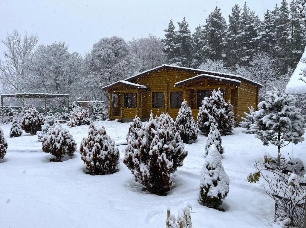 Kingswood Cabins Borjomi v zimě
