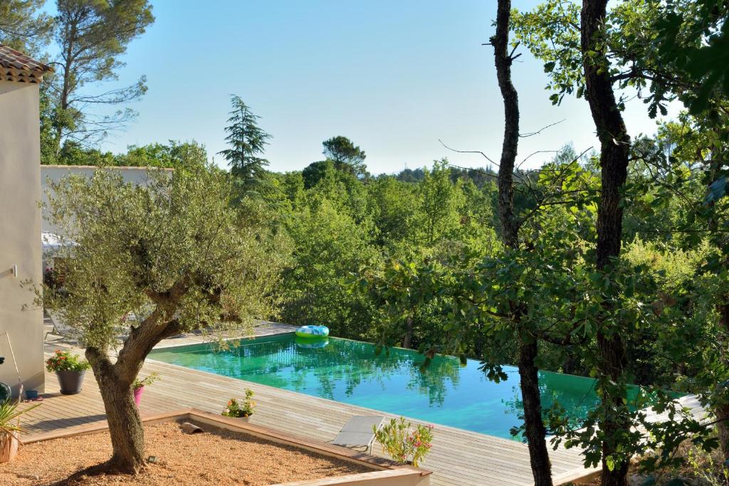 una piscina en un patio con árboles en Sous les oliviers - Piscine chauffée à débordement- Charming en Saint-Maximin-la-Sainte-Baume