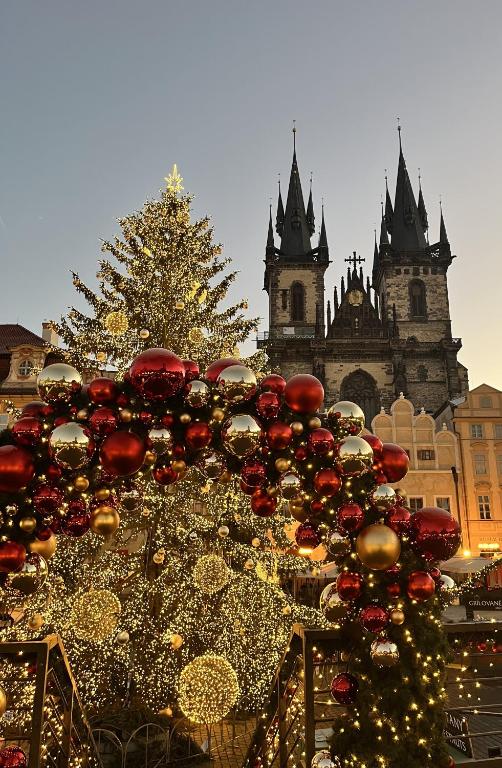 a christmas tree and decorations in front of a building at Hotel Metamorphis in Prague