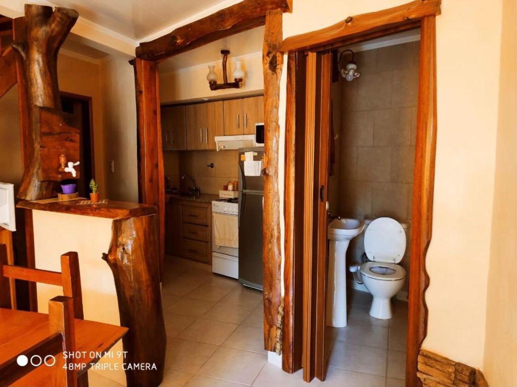 a small kitchen with a toilet and a sink at Apart Hotel Rústicos Valentina in Dolores