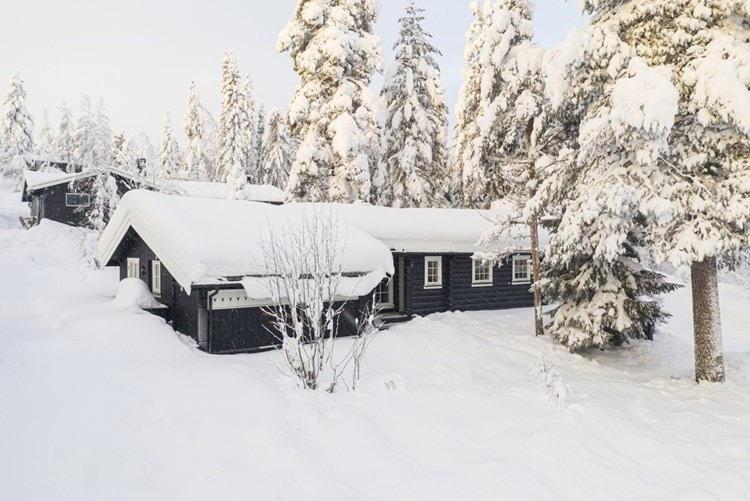 een huis bedekt met sneeuw voor de bomen bij Cabin With Panoramic Views Over Trysil in Trysil