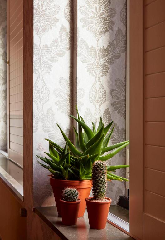 Max Brown Hotel Midtown, part of Sircle Collection - Resim 40