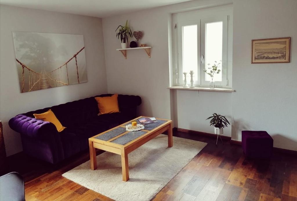 een woonkamer met een bank en een salontafel bij Ferienwohnung Südschwarzwald in Wehr