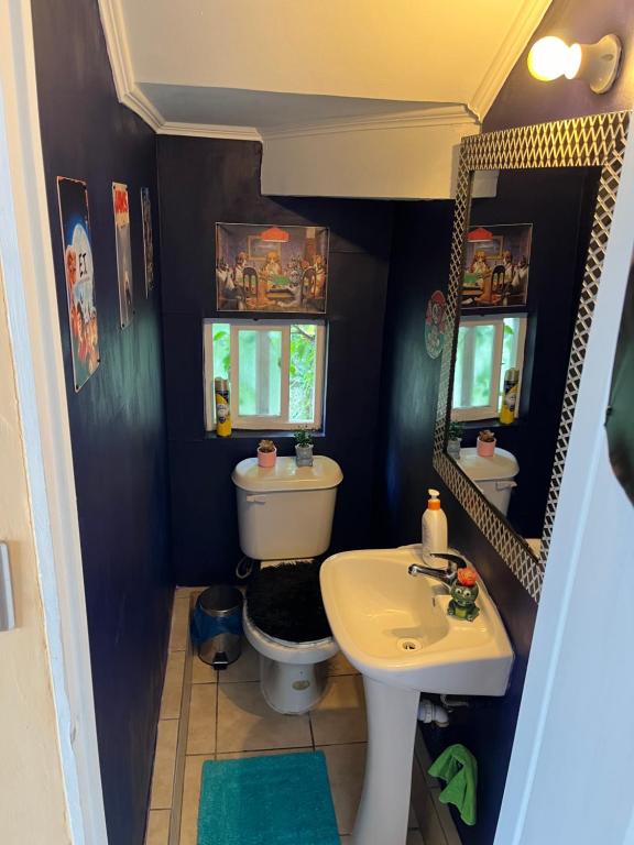 a small bathroom with a toilet and a sink at Casa piedra in Puerto Montt
