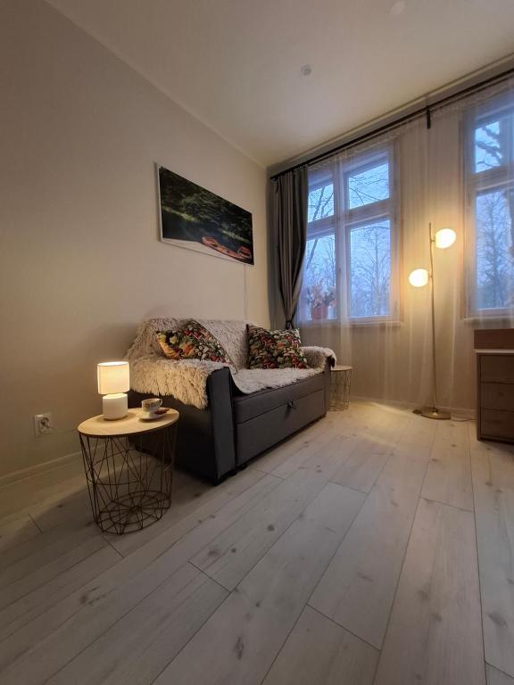 Et opholdsområde på Pärnu Pikk 24 apartment - Pärnu kesklinn - City center