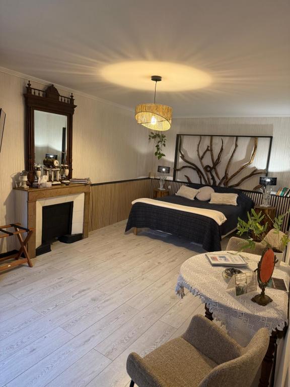 een grote kamer met 2 bedden en een open haard bij Chateau de la Saone in Lens-Lestang